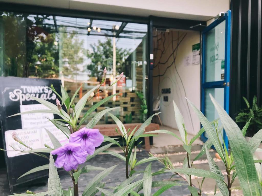 Bloomz Hostel チエンマイ エクステリア 写真